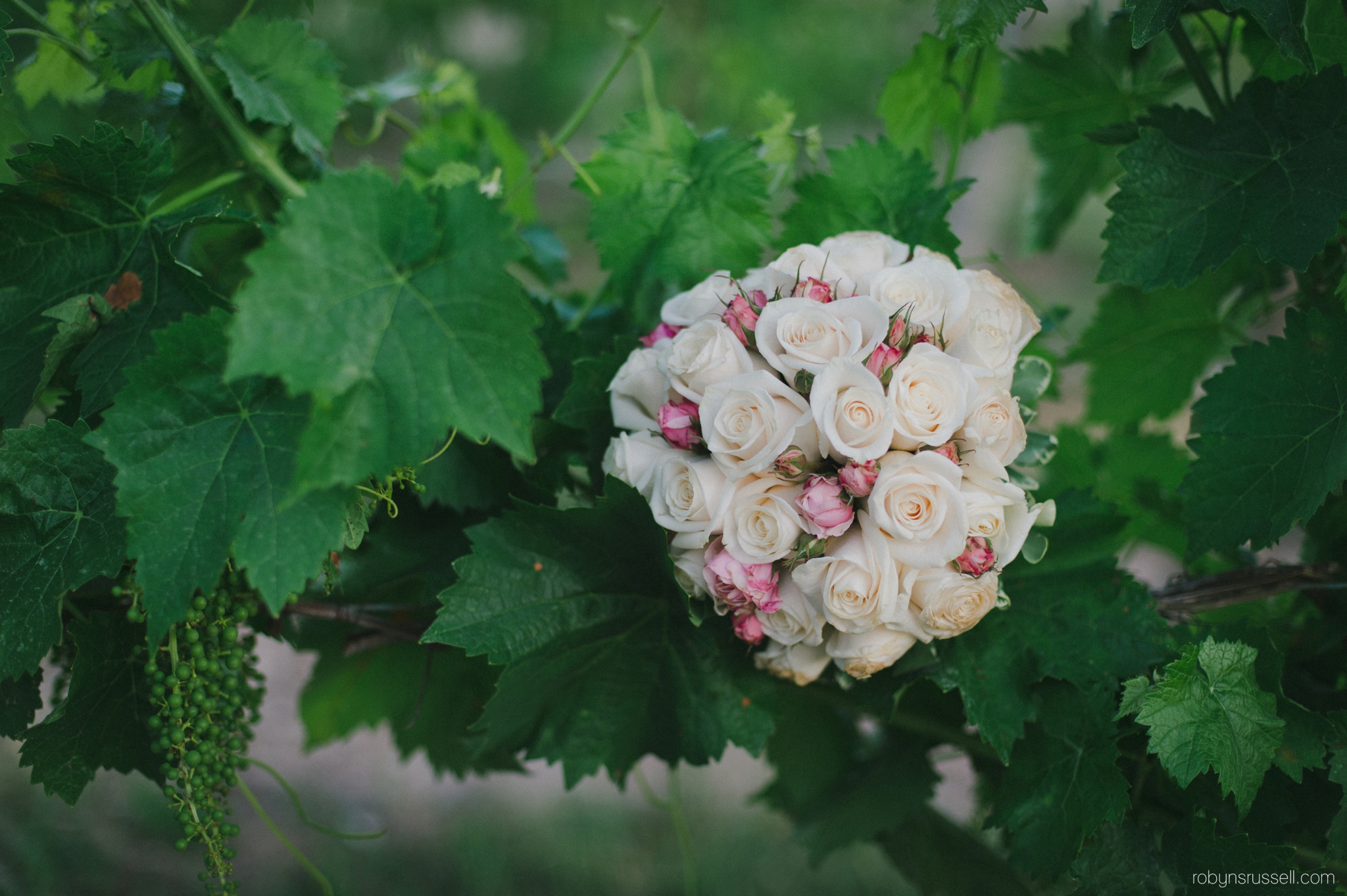 38-bridal-bouquet-roses-hernder-grapevine.jpg