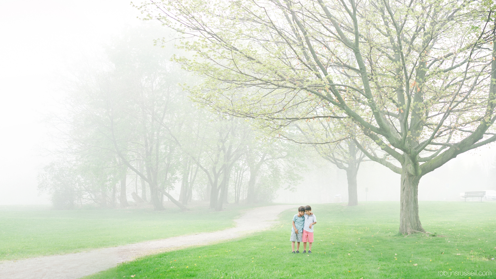 4-pano-foggy-tree-moody-burlington-spring-day.jpg