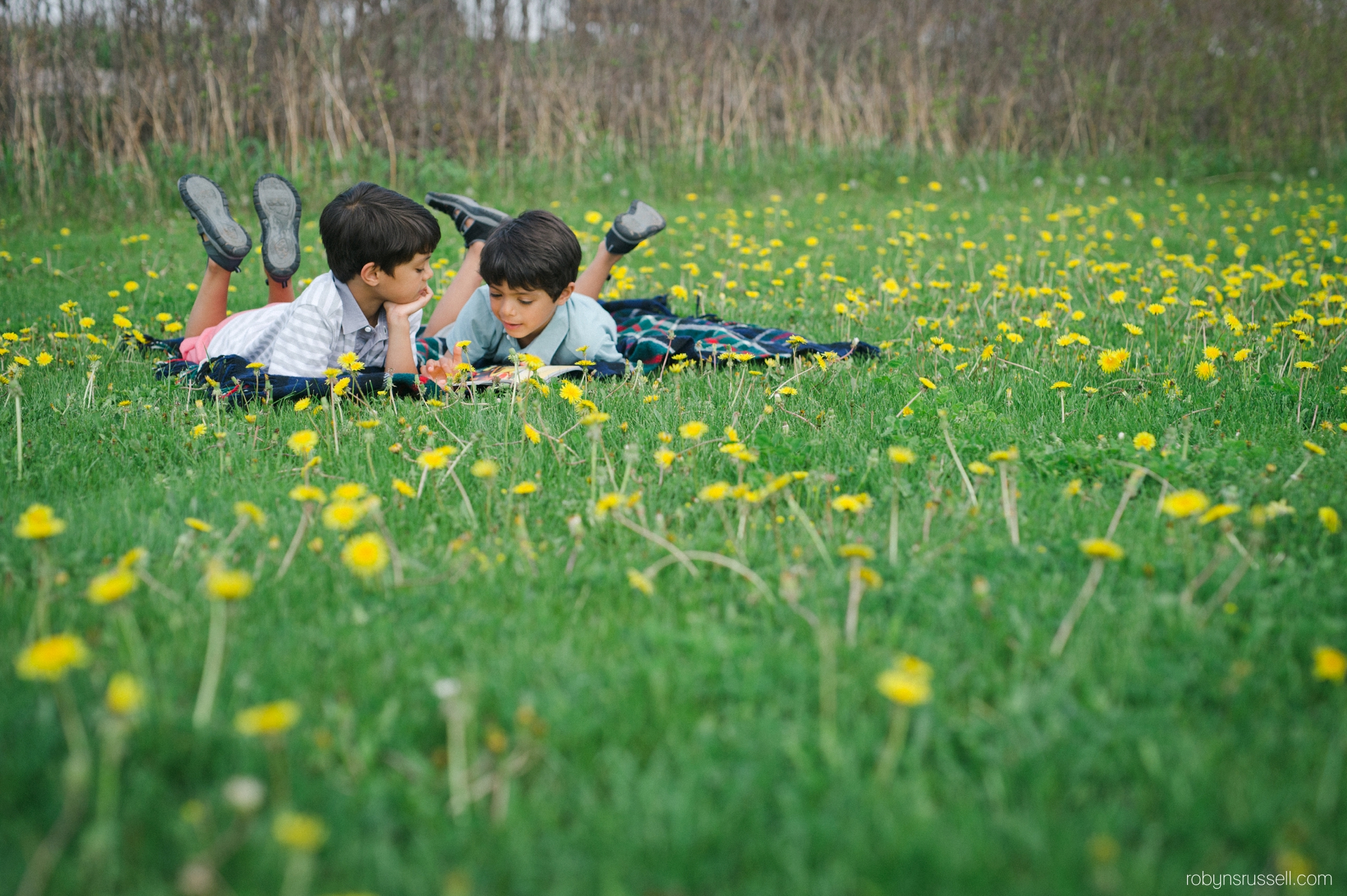 5-summer-days-ahead-dandilions-boys-reading.jpg