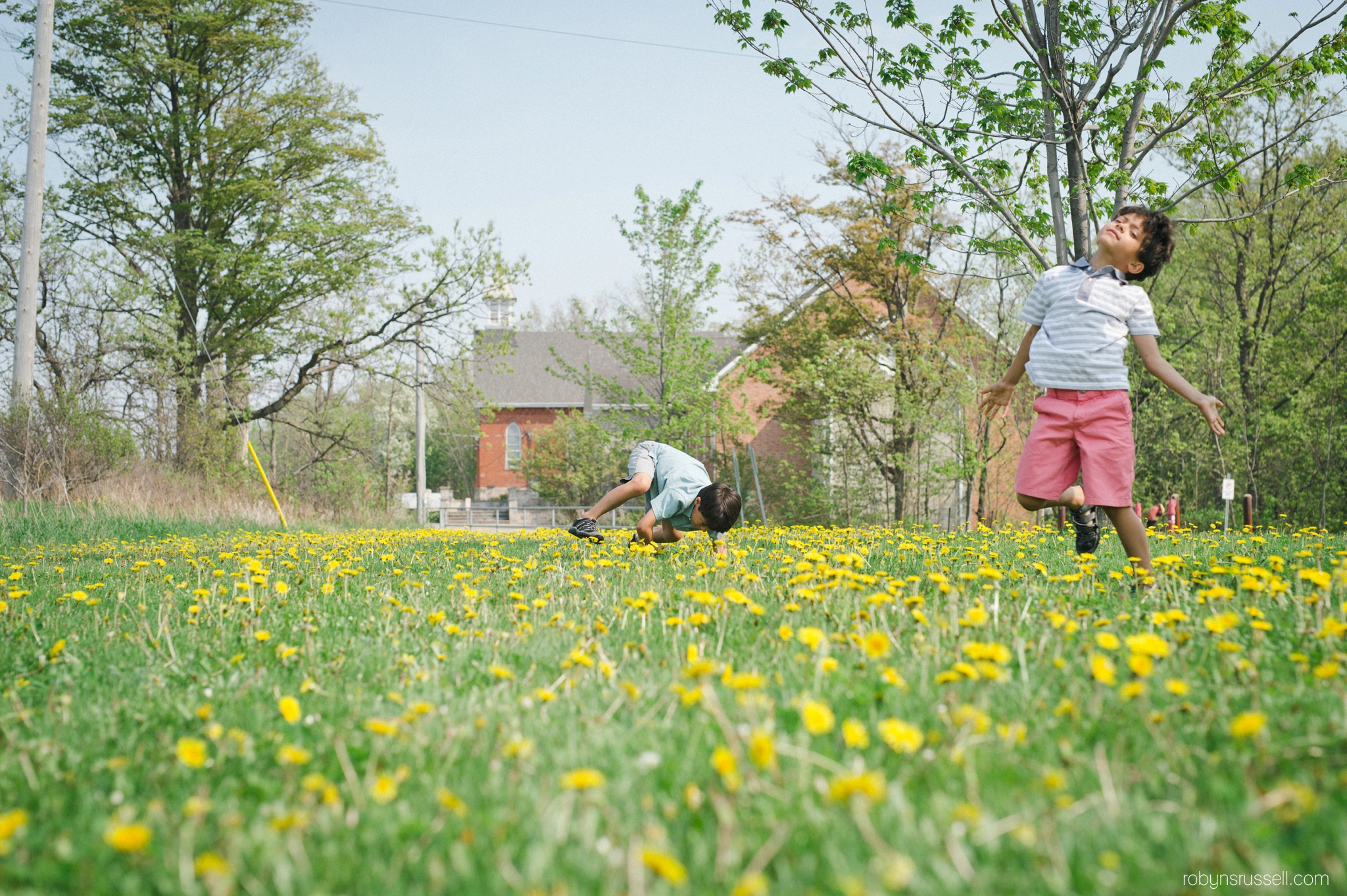 9-dancing-in-the-dandilions.jpg