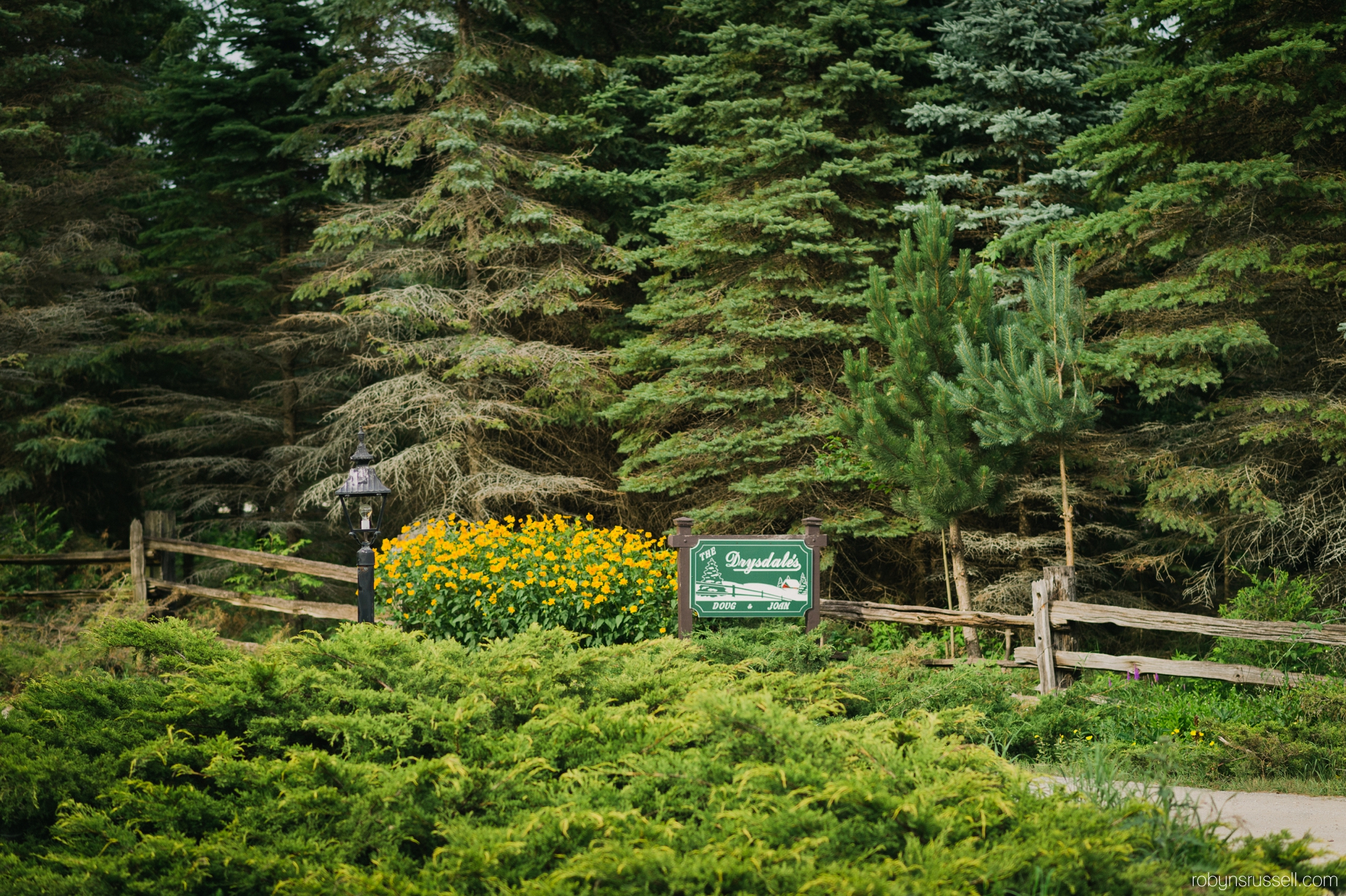 25-drysdale-tree-farm-barrie-wedding-photographer.jpg