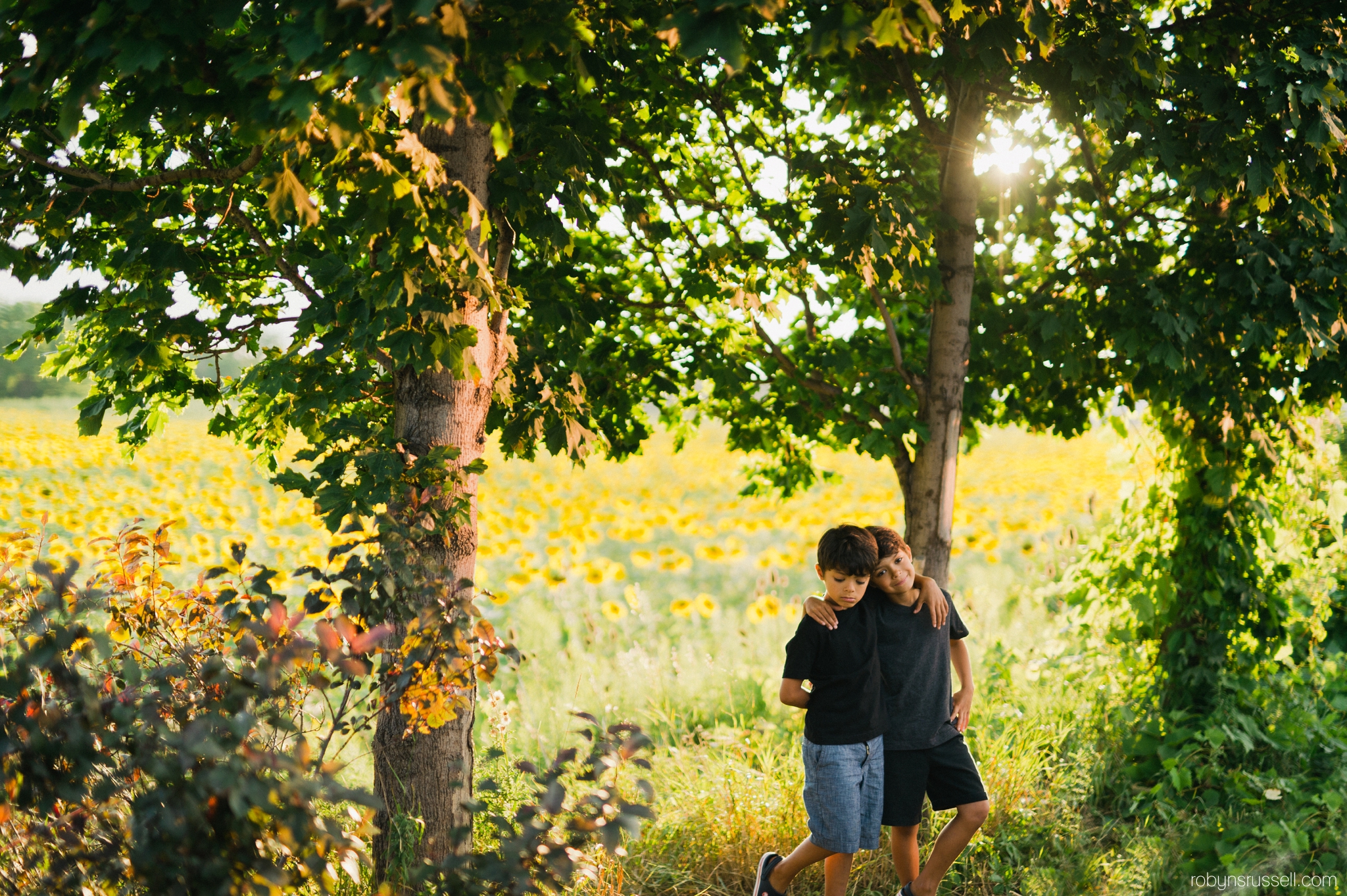 boys in sunflowers in burlington